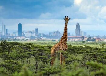 Tourism: Kenya Welcomed 7.5 Million Visitors In 2024, Eyes Further Growth by 2027
