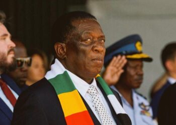 Zimbabwe: Man In Trouble For Demanding A Personal Meeting With President Mnangagwa