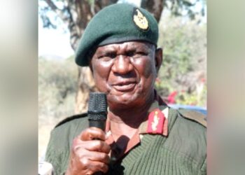 Zimbabwe: Mnangagwa Appoints 72-Year-Old As Army Chief Amid Coup Scare