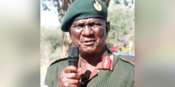 Zimbabwe: Mnangagwa Appoints 72-Year-Old As Army Chief Amid Coup Scare
