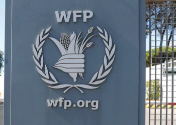 WFP Closes Southern Africa Bureau Over Poor Funding