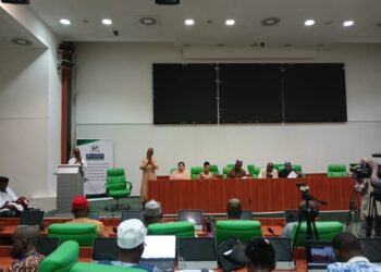 Nigerian Lawmakers, Stakeholders Advocate For Enhanced Social Protection For Persons With Disabilities