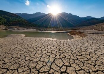 Nigeria To Partner UK Bio-tech Firm To Combat Desertification, Preserve Wildlife