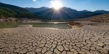 Nigeria To Partner UK Bio-tech Firm To Combat Desertification, Preserve Wildlife