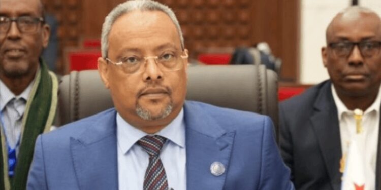 Djibouti's Foreign Minister, Abdoulkader Houssein Omar
