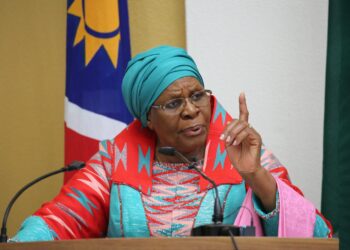 Namibia: President Nandi-Ndaitwah Announces Free University Education