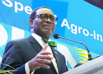 AfDB Wants End To Raw Materials Exports From Africa