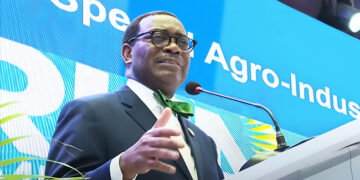 AfDB Wants End To Raw Materials Exports From Africa