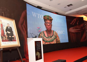 African Leaders Should Respond To The Shifting Global Trade Dynamics - WTO DG