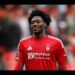 Nottingham Forest Suffer EPL Loss Without Nigeria’s Aina, Arsenal In Fresh Title Blow