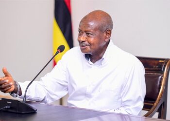 Uganda: Museveni Holds Talks With Elon Musk’s Starlink Executive