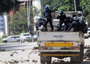 Zimbabwe Authorities Detain Scores Following Anti-Government Rallies
