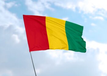 Guinean Envoy Woos Nigerian Investors For $20bn Mega Project