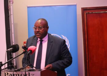 Zambia: Foreign Minister Warns Diplomats Against Meddling With Country’s Affairs