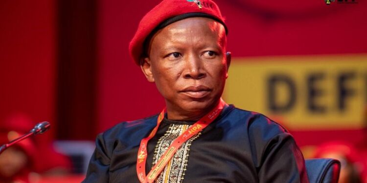 Leader of EFF, Julius Malema