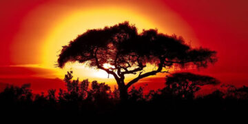 Climate Crisis Tightens Grip On Africa As Extreme Weather Ravages Continent