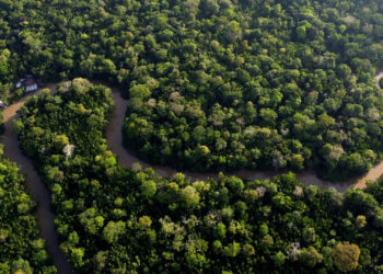 France To Construct Isolated Amazon Jail For Drug Traffickers