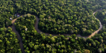 France To Construct Isolated Amazon Jail For Drug Traffickers