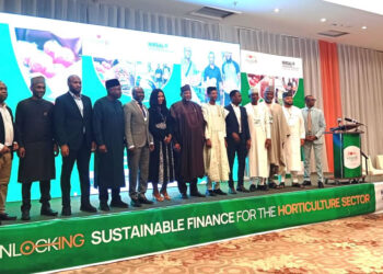 HortiNigeria, NIRSAL Join Forces To Improve Funding For Horticulture