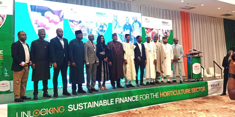 HortiNigeria, NIRSAL Join Forces To Improve Funding For Horticulture