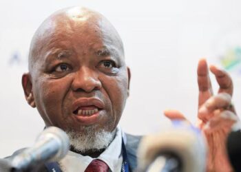 Energy Transition: ‘We Can’t Kill Our Economy To Preserve Ecology’ — SA Officials