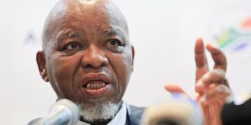 Energy Transition: ‘We Can’t Kill Our Economy To Preserve Ecology’ — SA Officials