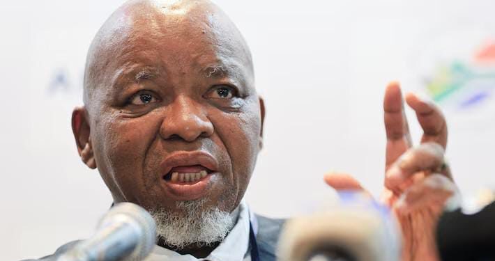 South African Minister of Mineral and Petroleum Resources, Gwede Mantashe