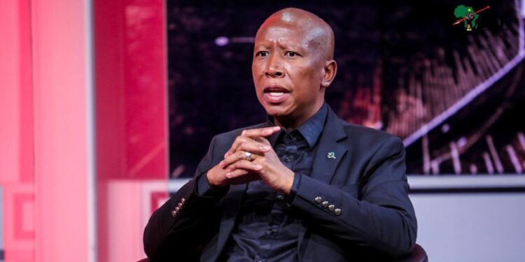 Leader of South Africa's Economic Freedom Fighters (EFF), Julius Malema