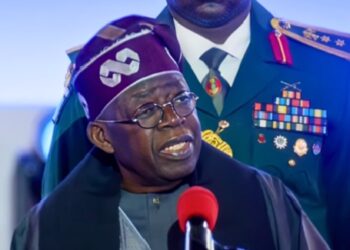 At West Africa Summit, Tinubu Wants End To Export Of Unprocessed Minerals