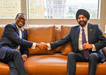 World Bank Seeks Stronger, Results-Focused Partnerships For Africa’s Development