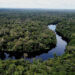 Congo To Establish World's Biggest Tropical Forest Reserve