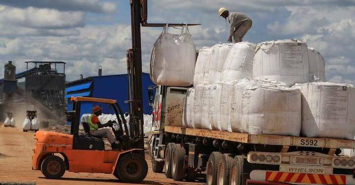 Workers load lithium concentrate at Prospect Lithium Zimbabwe mine in Goromonzi, Zimbabwe, January 9, 2024.