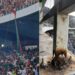 Algeria: Three Fans Fall From Stadium Stand, Die