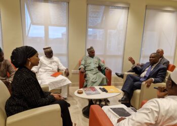 Nigeria, Saint Lucia Forge Stronger Ties In High-Level Bilateral Gathering