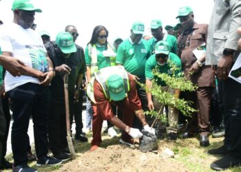 Nigeria: NDDC Promotes Tree Planting, Tackles Environmental Challenges