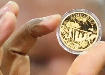 Despite Investors Doubt, Zimbabwe Says Gold-backed ZiG Currency Stable