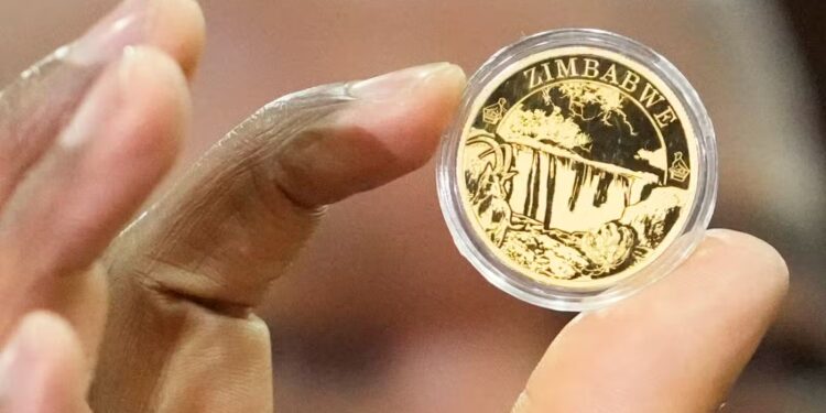 Zimbabwe's gold-backed currency ZiG