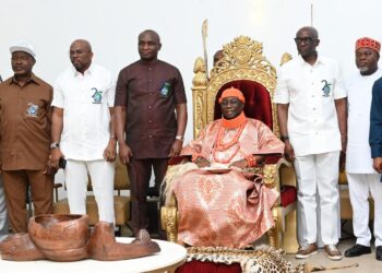 Nigeria: Monarch Hails NDDC’s Milestone Achievements
