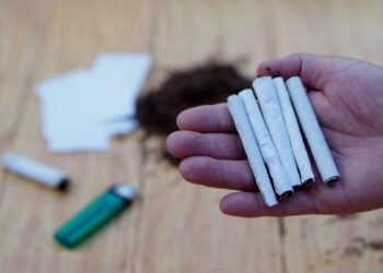 ECOWAS Declares All-Out Fight Against ‘Kush’ As Drug Use Surges