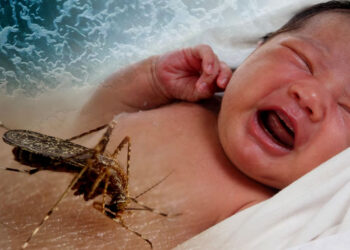 First-Ever Malaria Treatment For Babies Gets Green Light