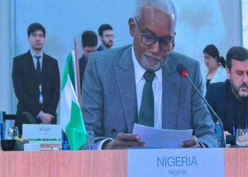 COP30: Nigeria Urges BRICS To Champion Climate Justice, Health Equity