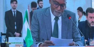 COP30: Nigeria Urges BRICS To Champion Climate Justice, Health Equity