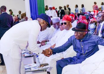 Nigeria: Ex-President Jonathan Calls For Leadership Stability In NDDC