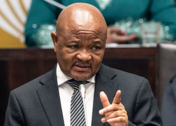 Police Minister In South Africa Under Fire Over Alleged Ties To Criminal Gangs