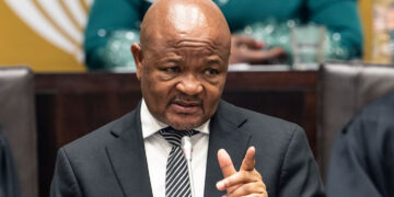 Police Minister In South Africa Under Fire Over Alleged Ties To Criminal Gangs