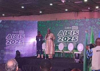 At Africa Infrastructure, Climate Summit, Stakeholders Advocate Cleaner Energy