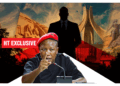 HT Exclusive: Africa Under One Presidency: X-Raying Implications Of Julius Malema’s Call