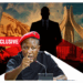 HT Exclusive: Africa Under One Presidency: X-Raying Implications Of Julius Malema’s Call