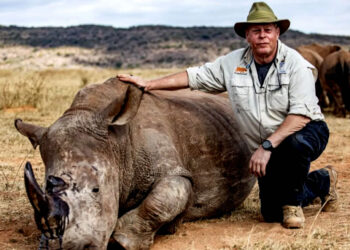Rhino Horns Injected with Radioactive Material to Combat Poaching in South Africa