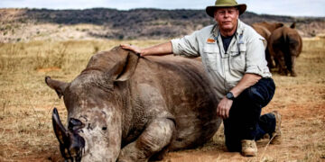 Rhino Horns Injected with Radioactive Material to Combat Poaching in South Africa